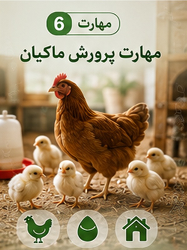 مهارت 6 :  پرورش ماکیان